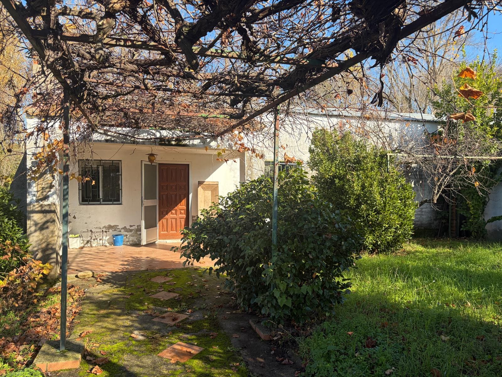 WhatsApp Image 2025-12-03 at 19.30.39 (2)